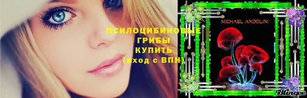 винт Майский