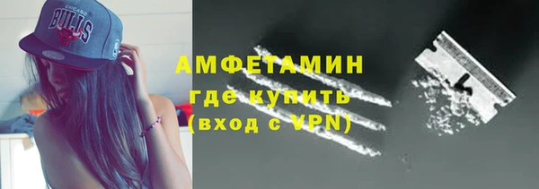 шишки Медногорск