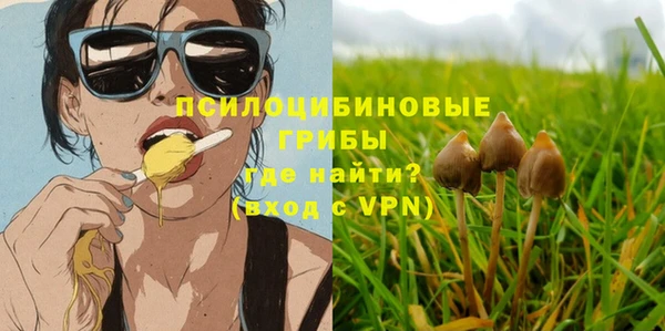 шишки Медногорск