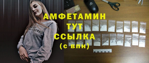 шишки Медногорск