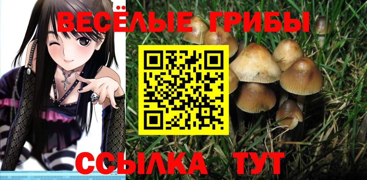 Псилоцибиновые грибы Magic Shrooms Барнаул